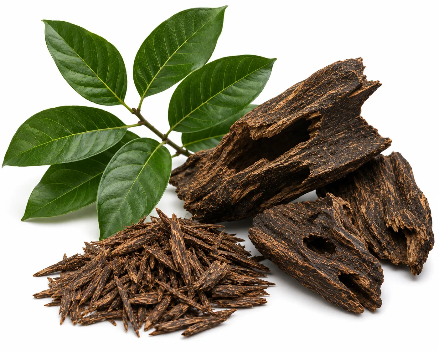 Agaru herb