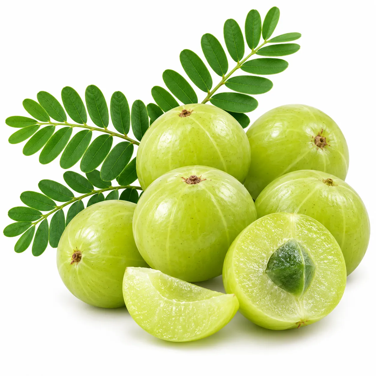 Amalaki herb