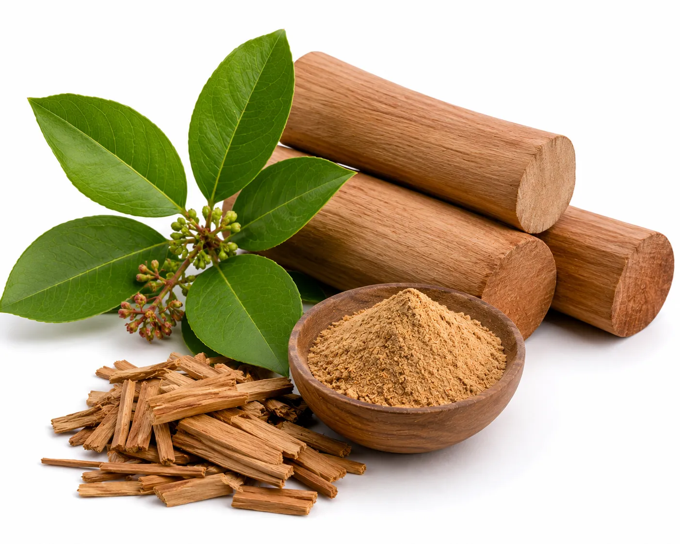 Chandana herb