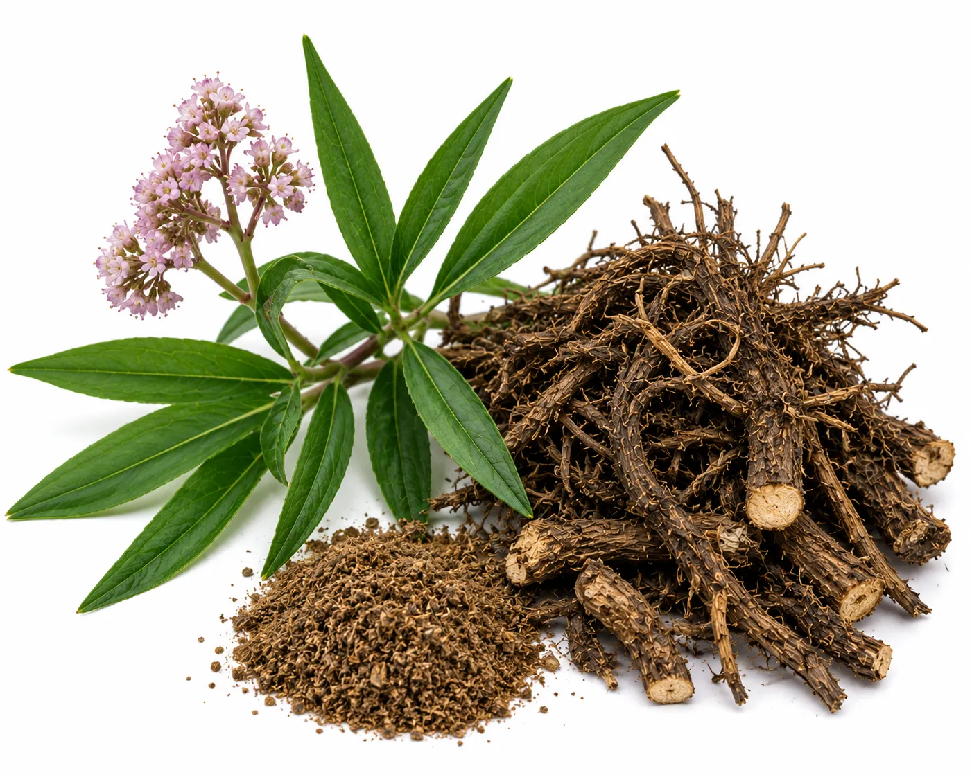 Jatamamsi herb