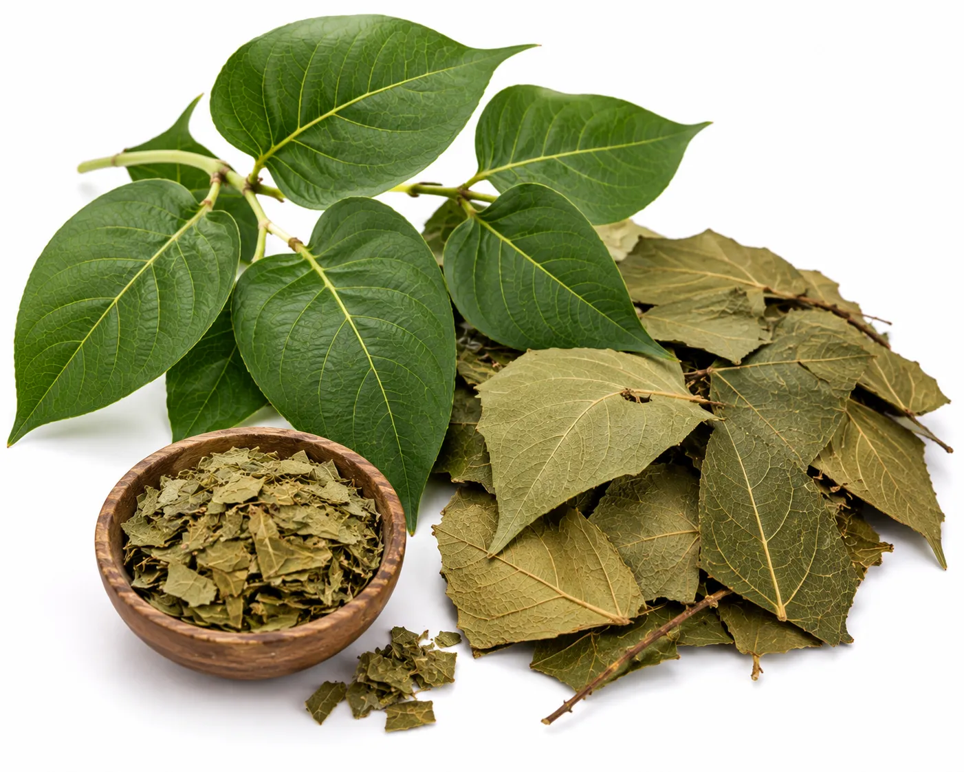 Patra herb