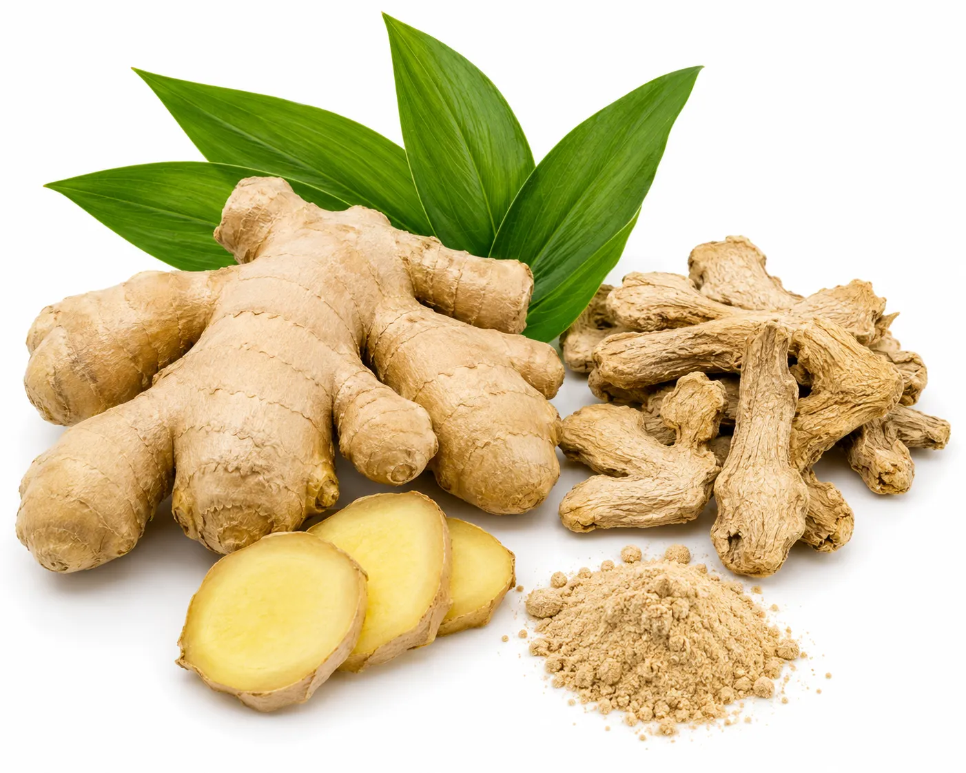 Sunthi herb