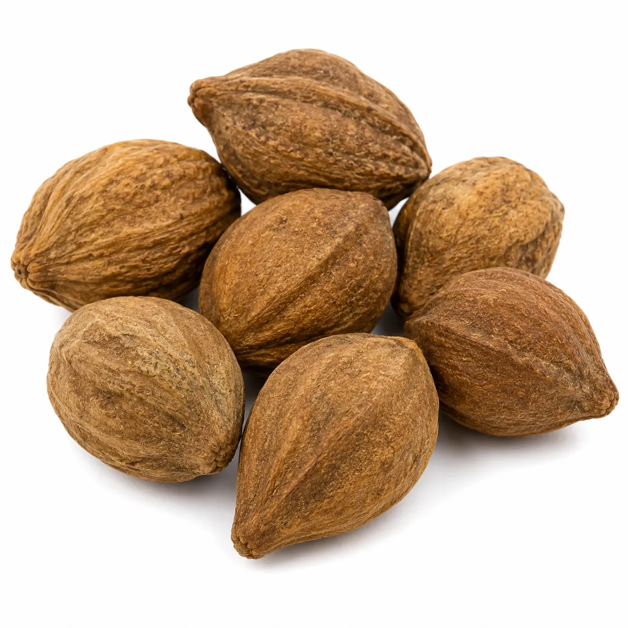 Vibitaki herb